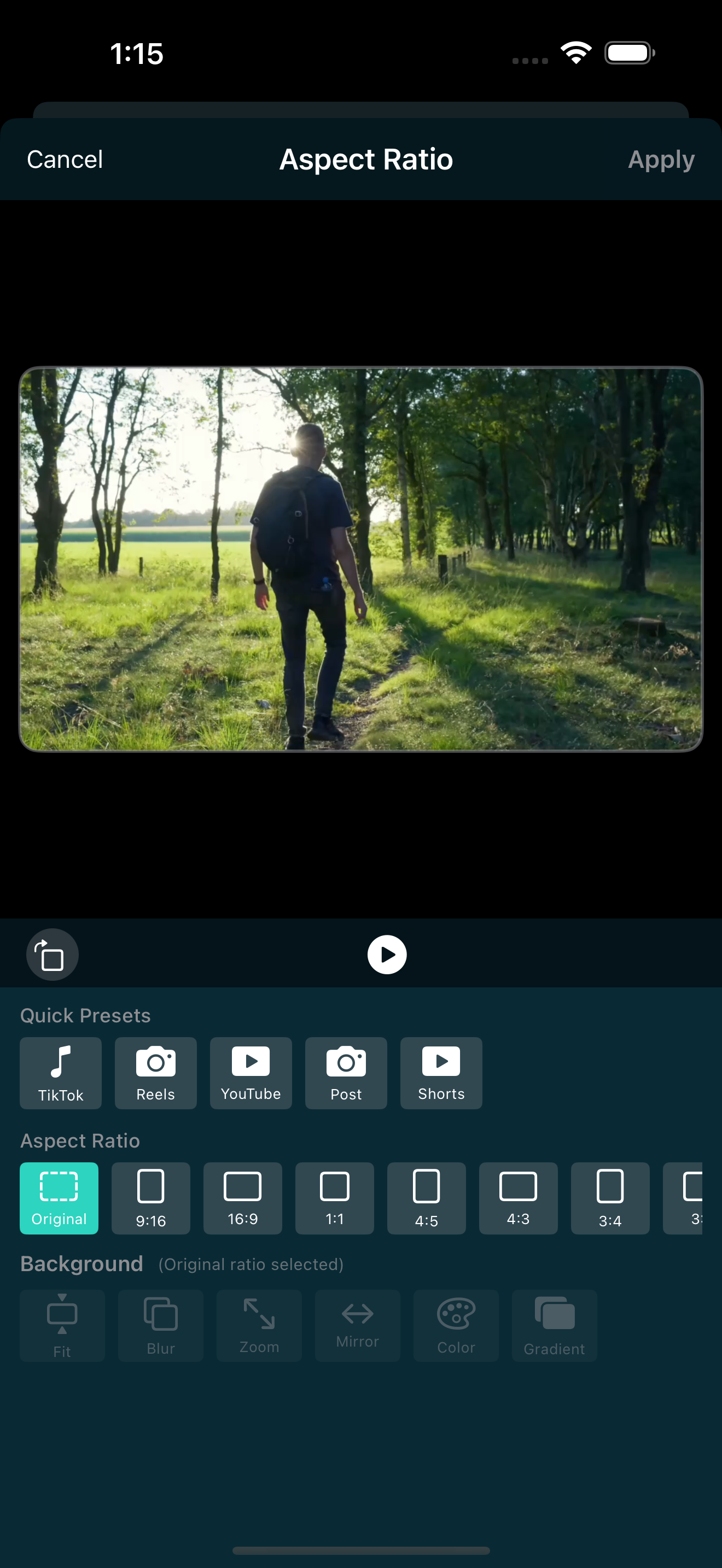 Aspect ratio editor on iPhone showing vertical 9:16 option