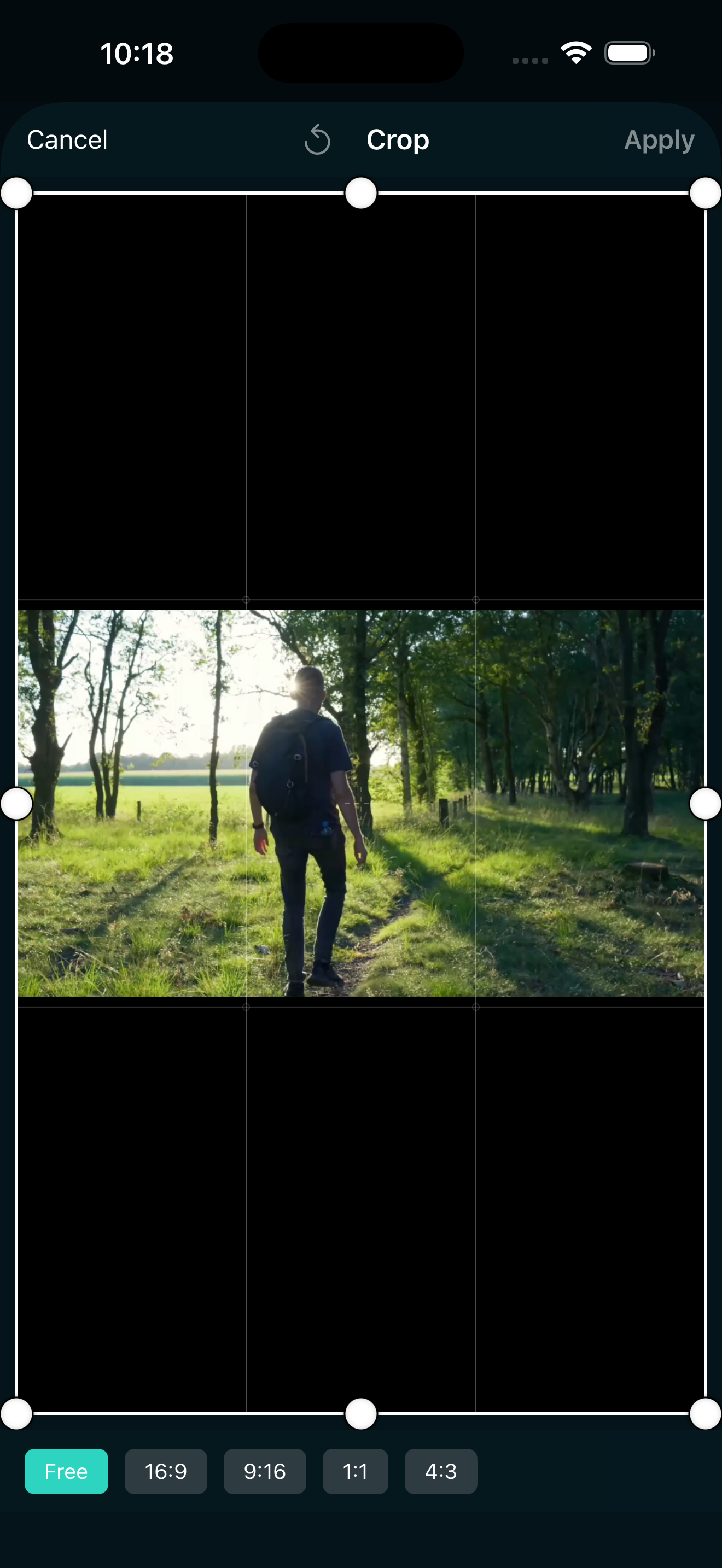 Crop tool in EditorPro showing crop handles and preset options on an iPhone video